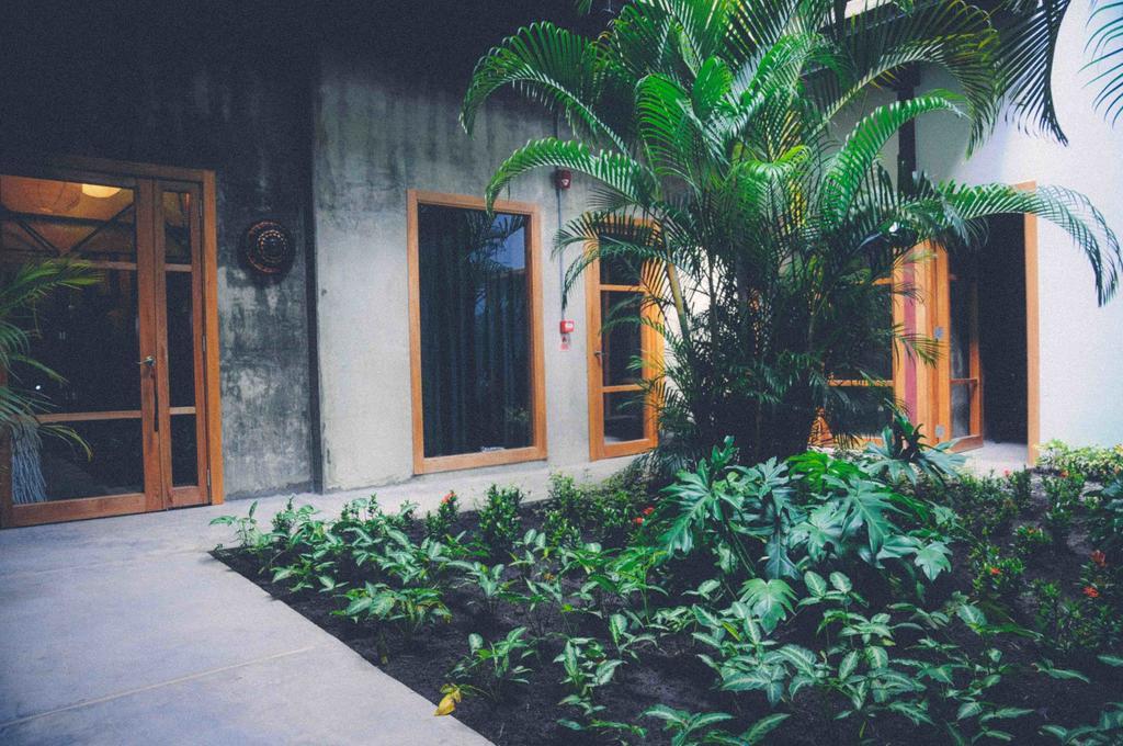 Hotel Casa Panama Dış mekan fotoğraf
